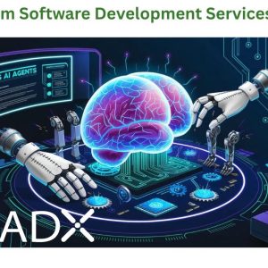 Custom Software Development Services